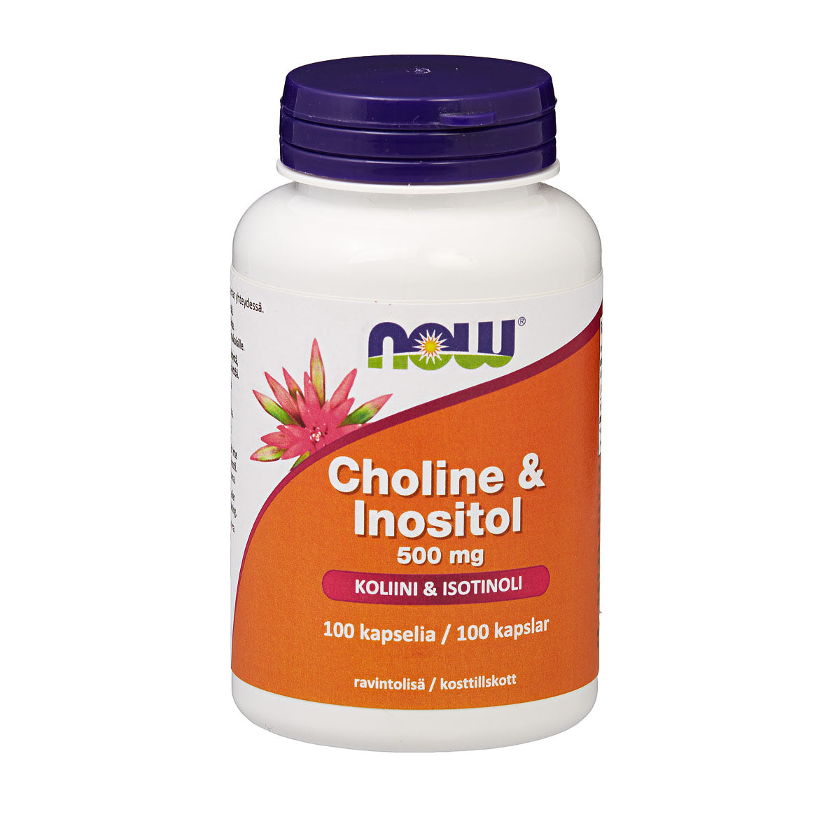 Choline & Inositol 500mg (100 kapselia)