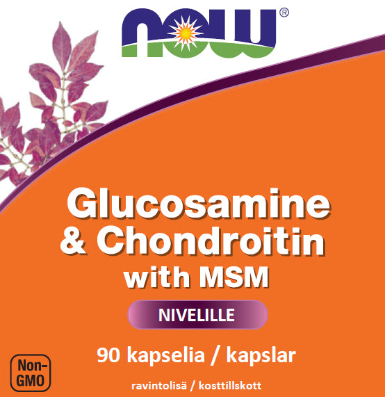 Glucosamine Chondroitin & MSM (90 kapselia)