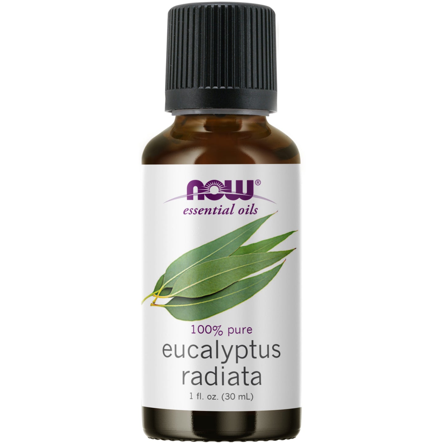 Eucalyptus Radiata Oil (30 ml)