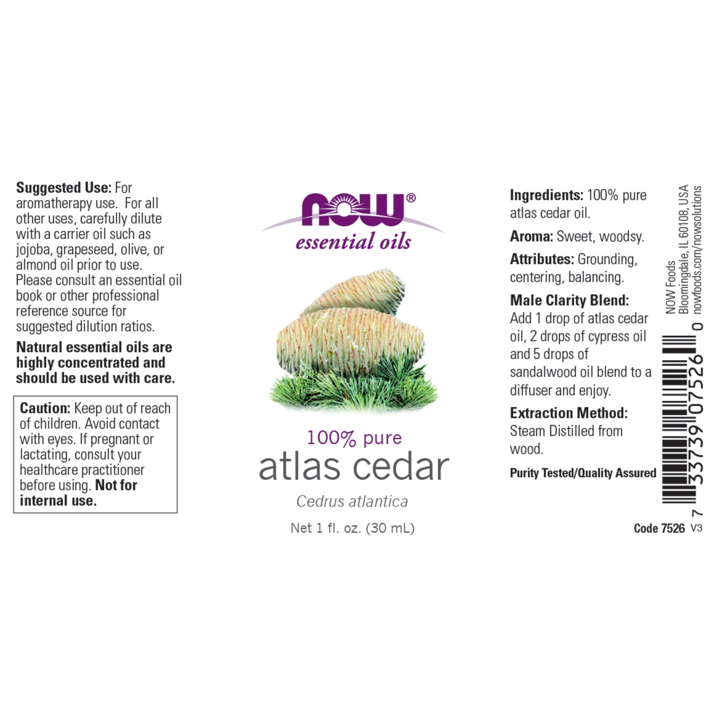 Atlas Cedar Oil (30 ml)