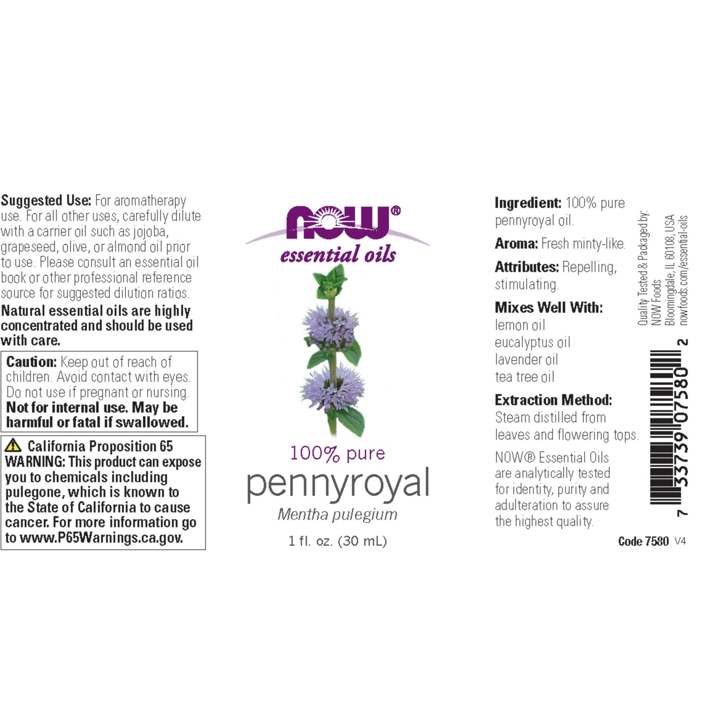 Pennyroyal Oil (30ml)