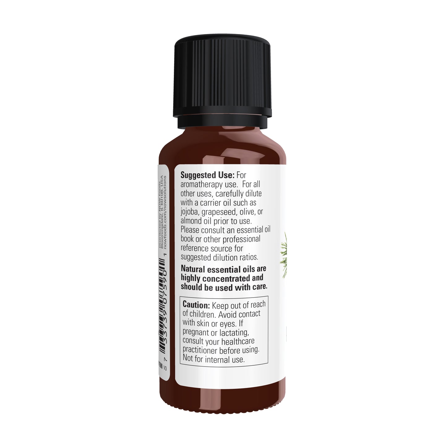 Pine Needle Oil (30 ml)
