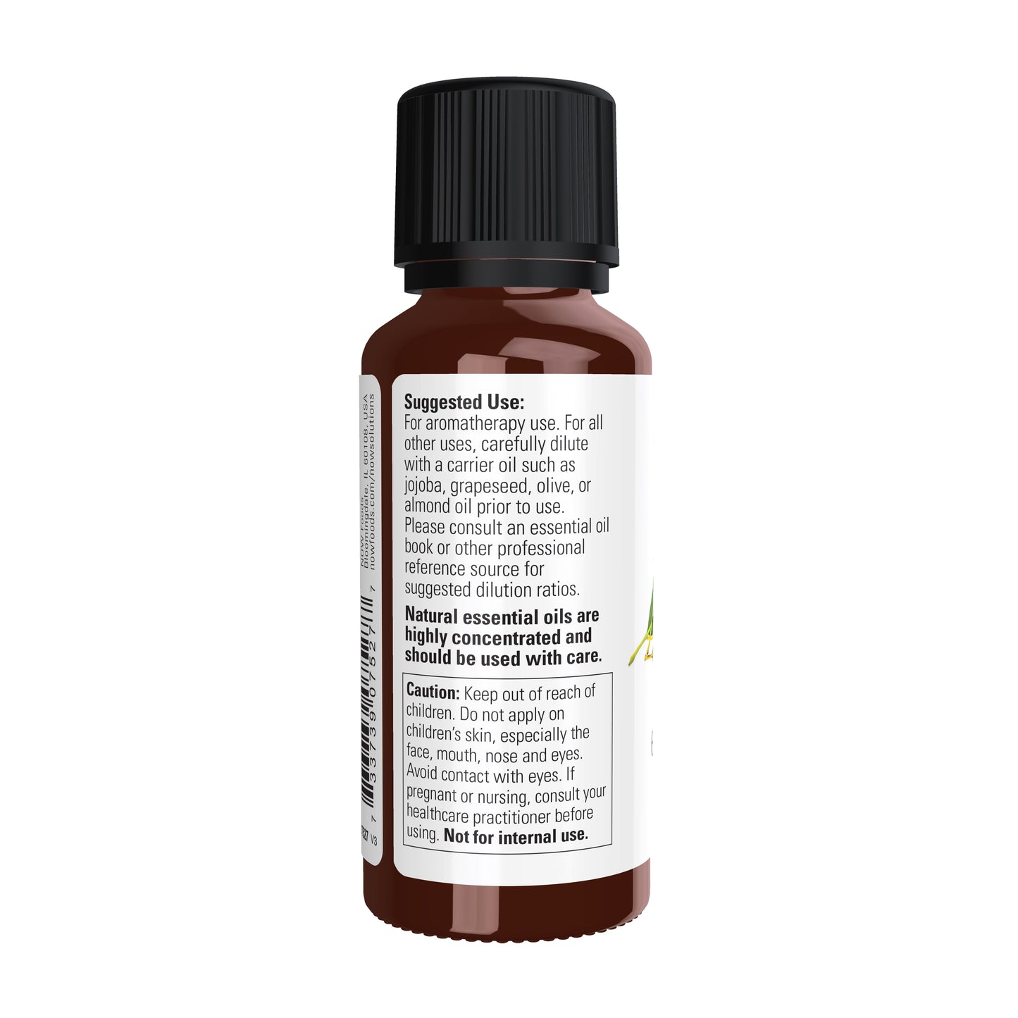 Eucalyptus Radiata Oil (30 ml)