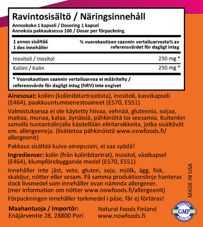 Choline & Inositol 500mg (100 kapselia)