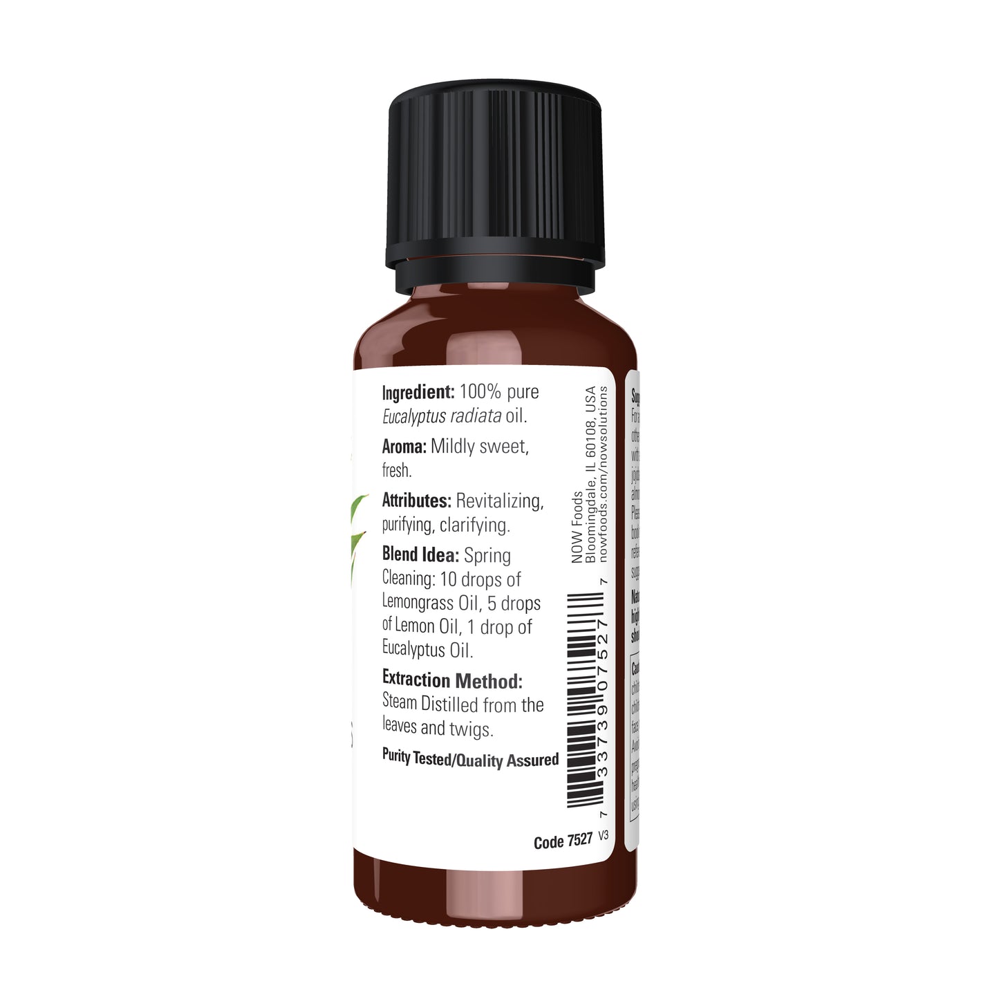 Eucalyptus Radiata Oil (30 ml)