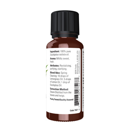 Eucalyptus Radiata Oil (30 ml)