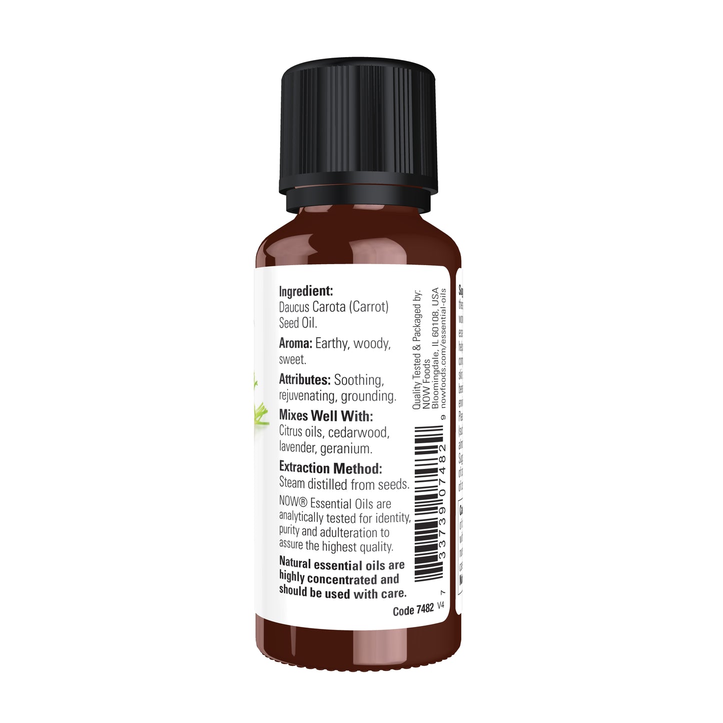 Carrot Seed Oil (30 ml)