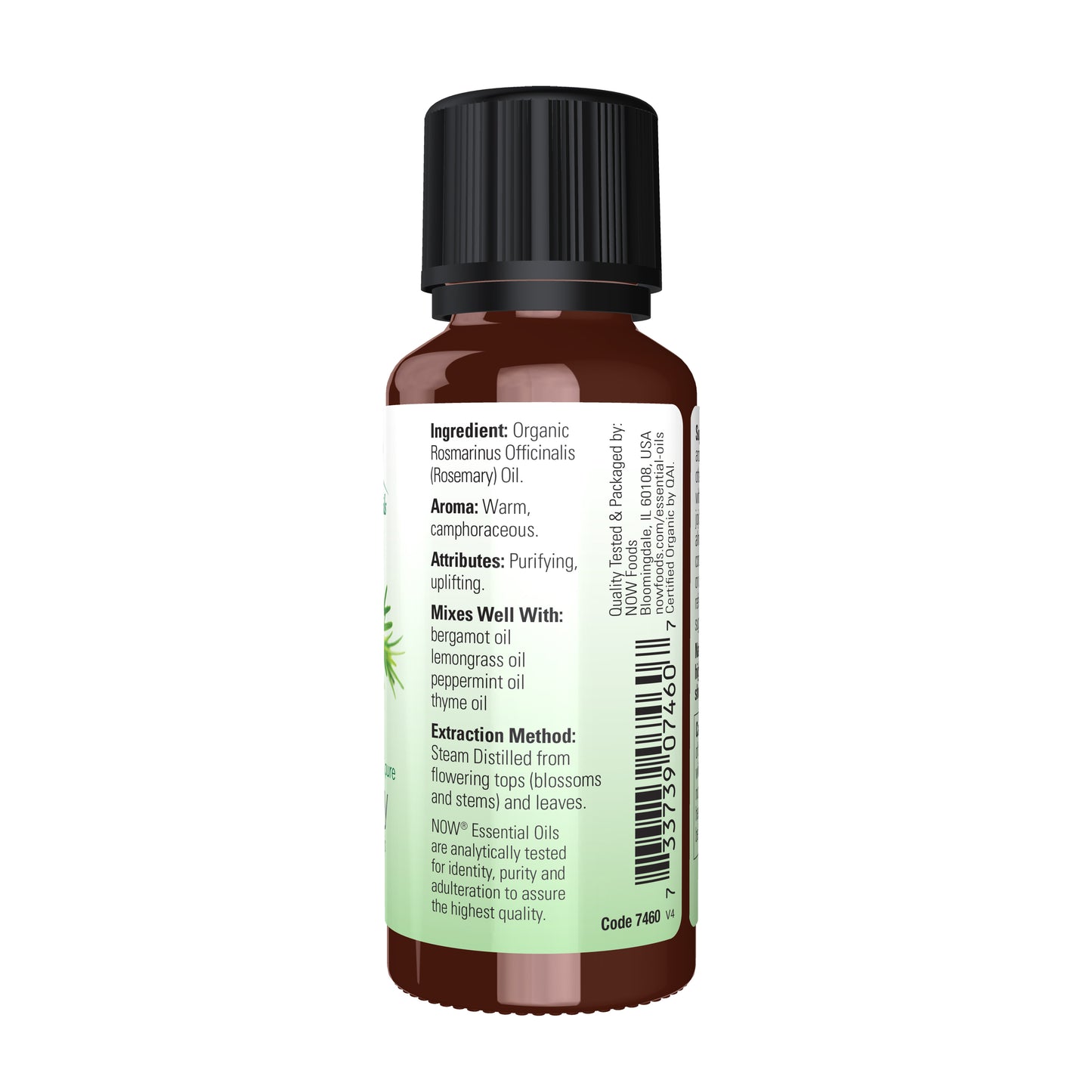Organic Rosemary Oil (30 ml)