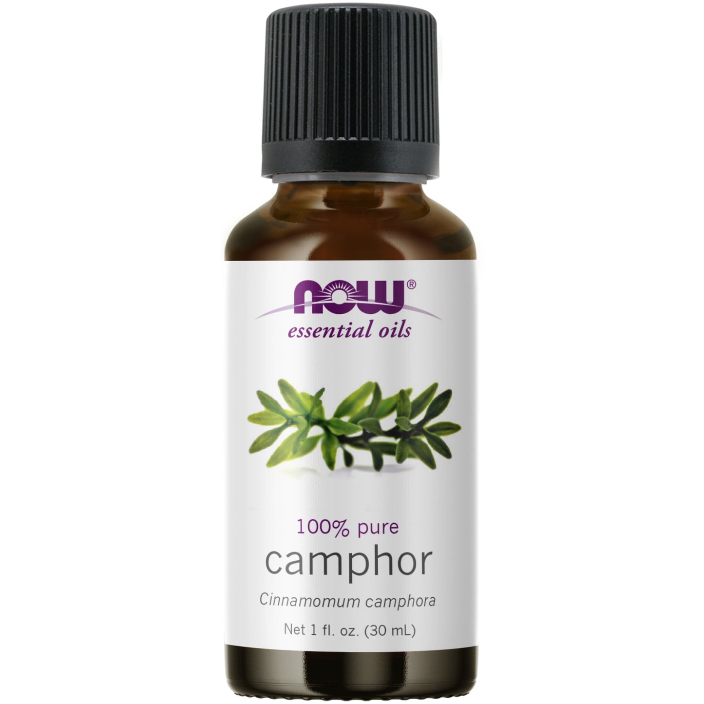 Camphor Oil (30 ml)