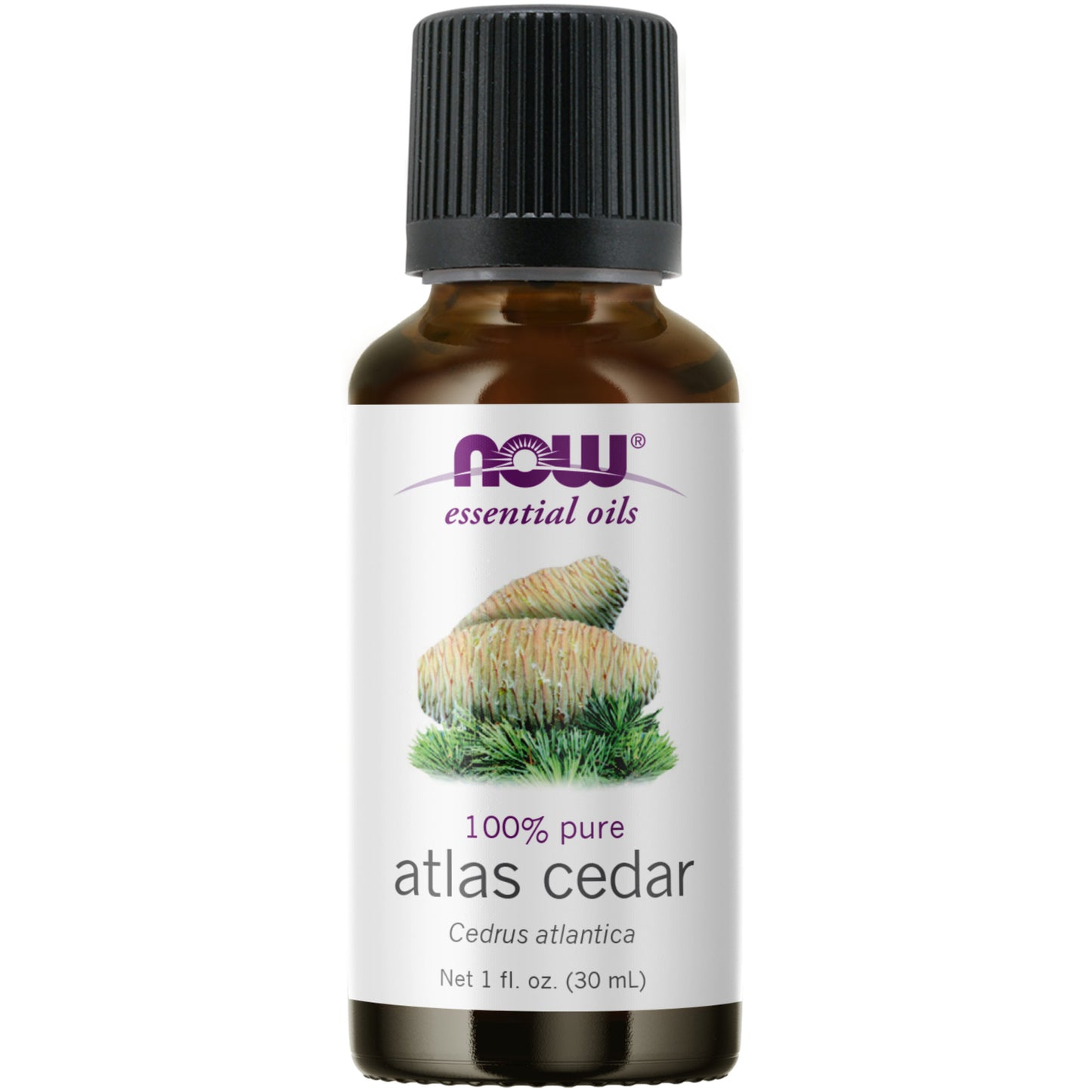 Atlas Cedar Oil (30 ml)