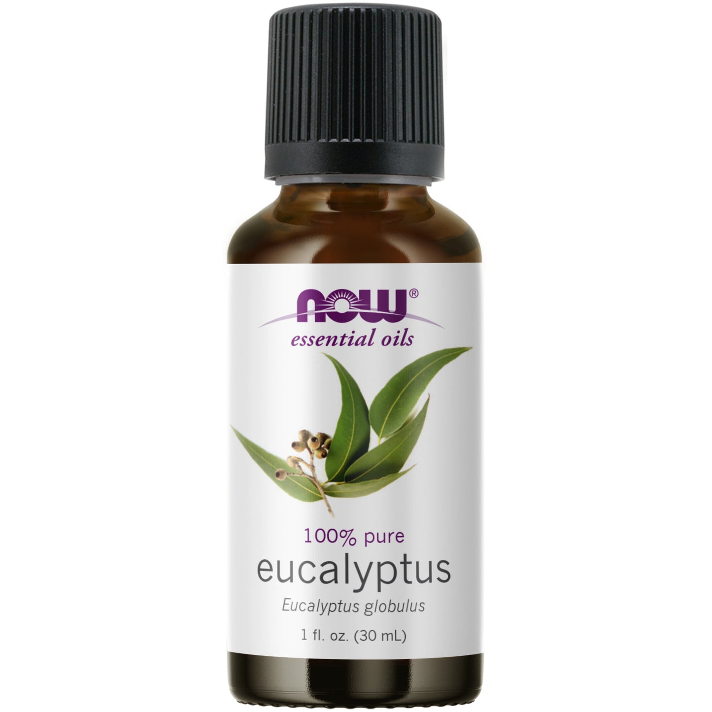 Eucalyptus Oil (30ml)