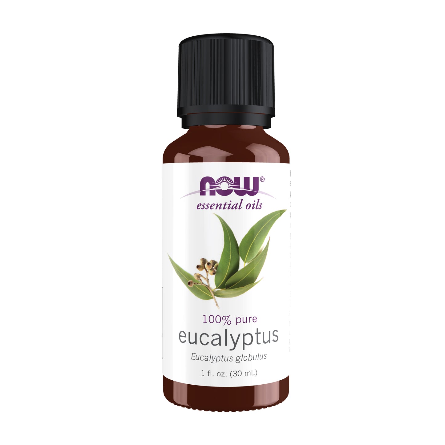 Eucalyptus Oil (30ml)