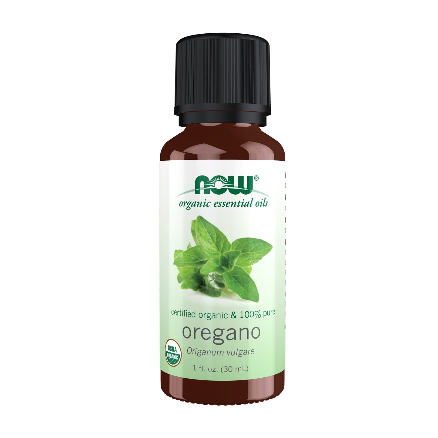 Organic Oregano Oil (30 ml)