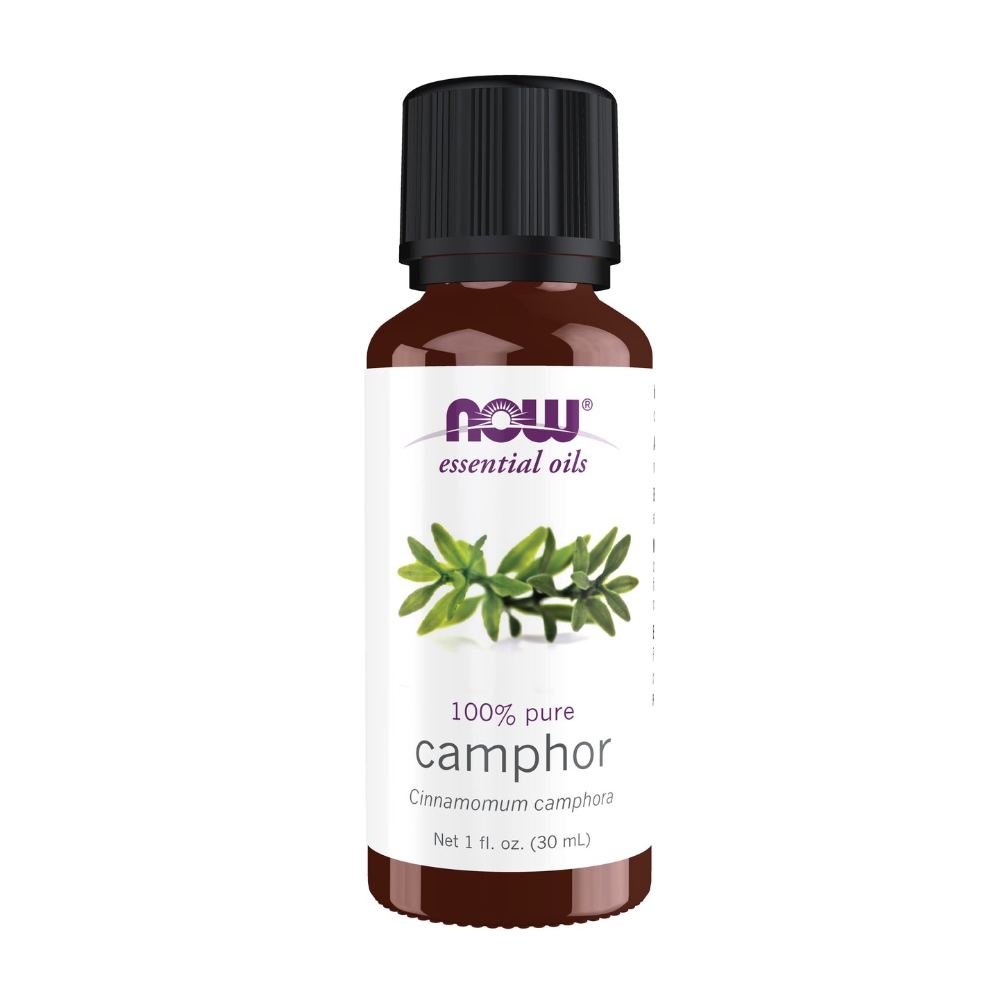 Camphor Oil (30 ml)