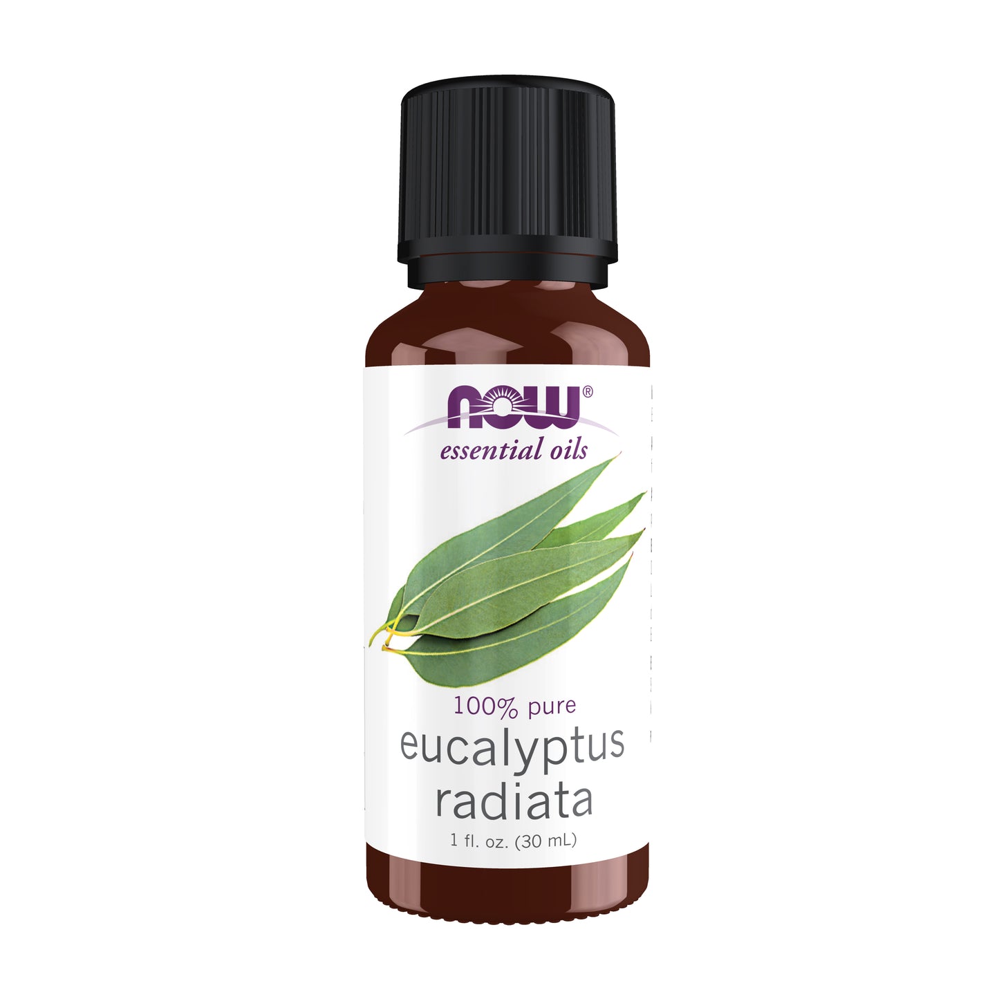 Eucalyptus Radiata Oil (30 ml)