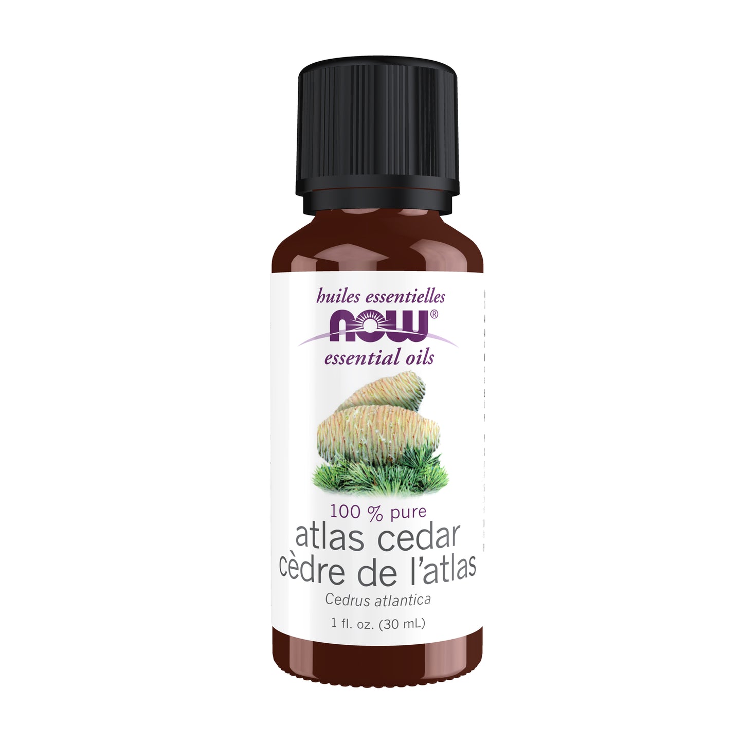 Atlas Cedar Oil (30 ml)