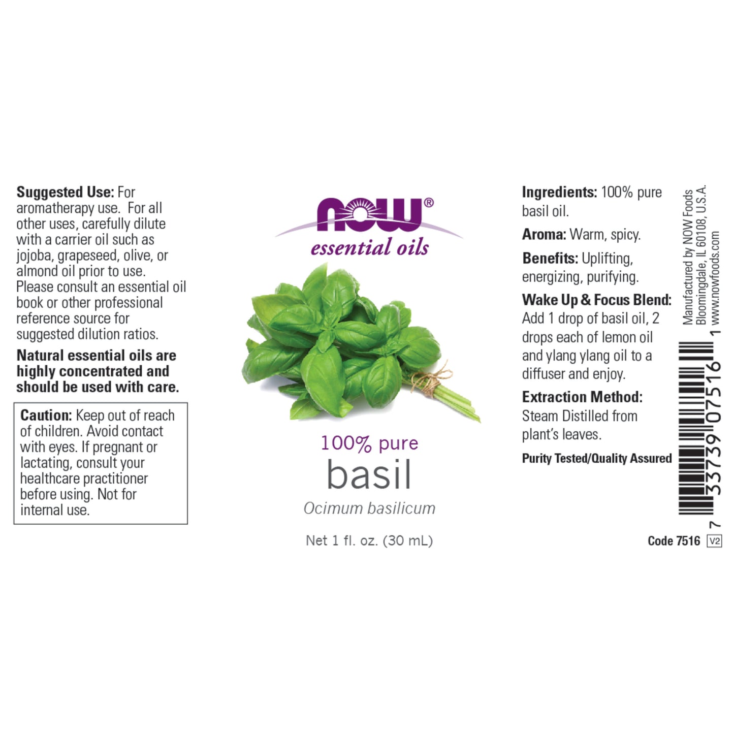 Basil Oil (30 ml)