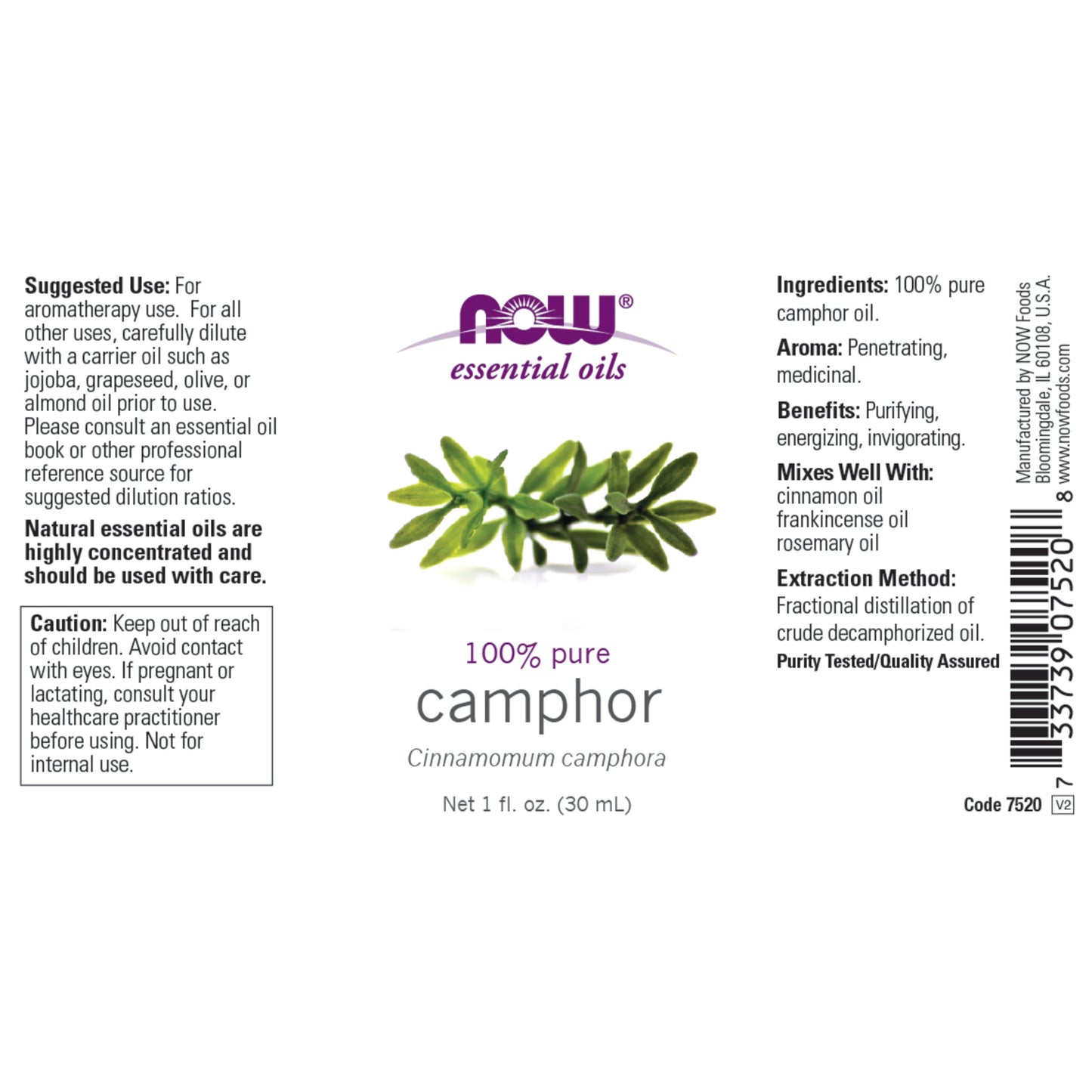 Camphor Oil (30 ml)