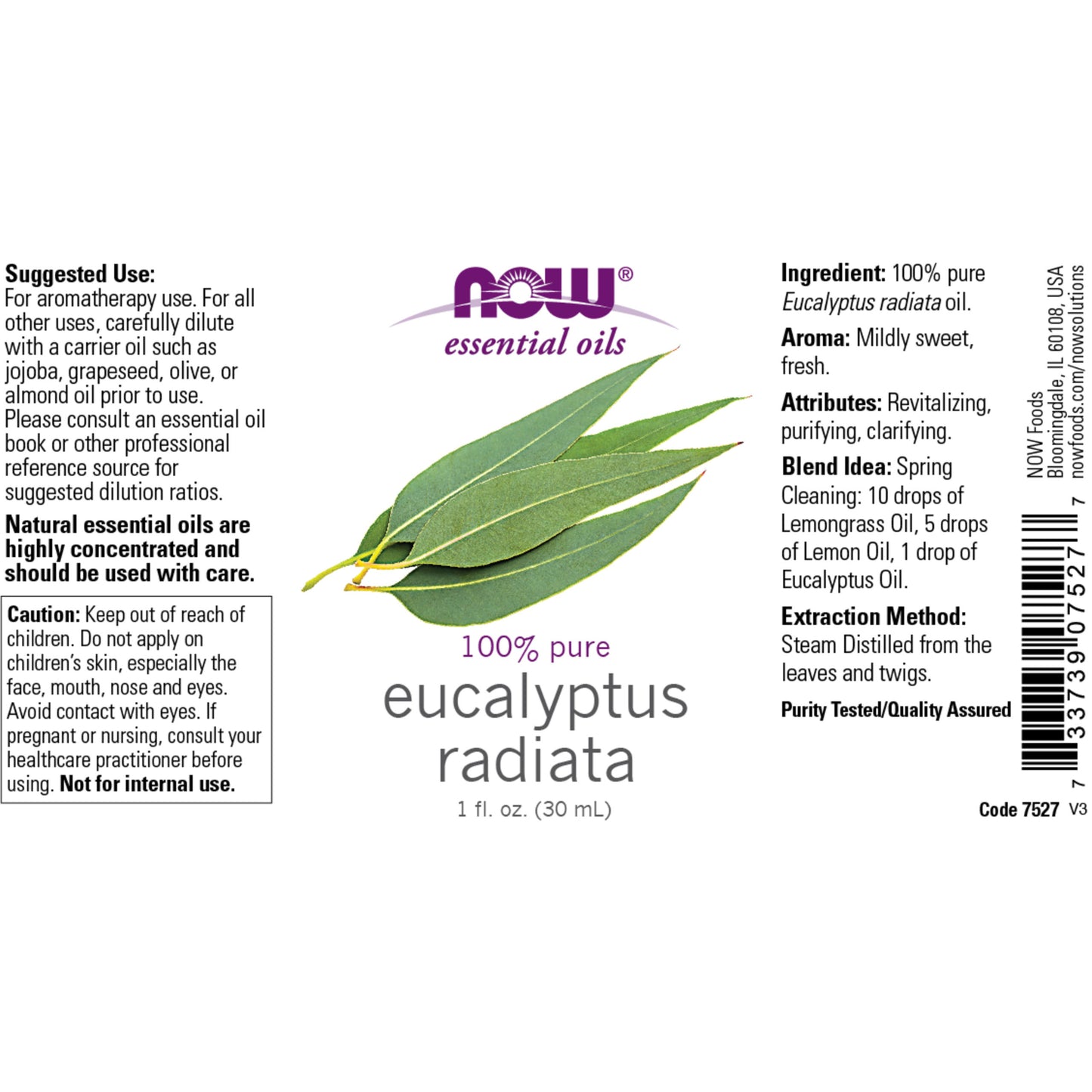 Eucalyptus Radiata Oil (30 ml)