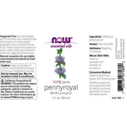Pennyroyal Oil (30ml)
