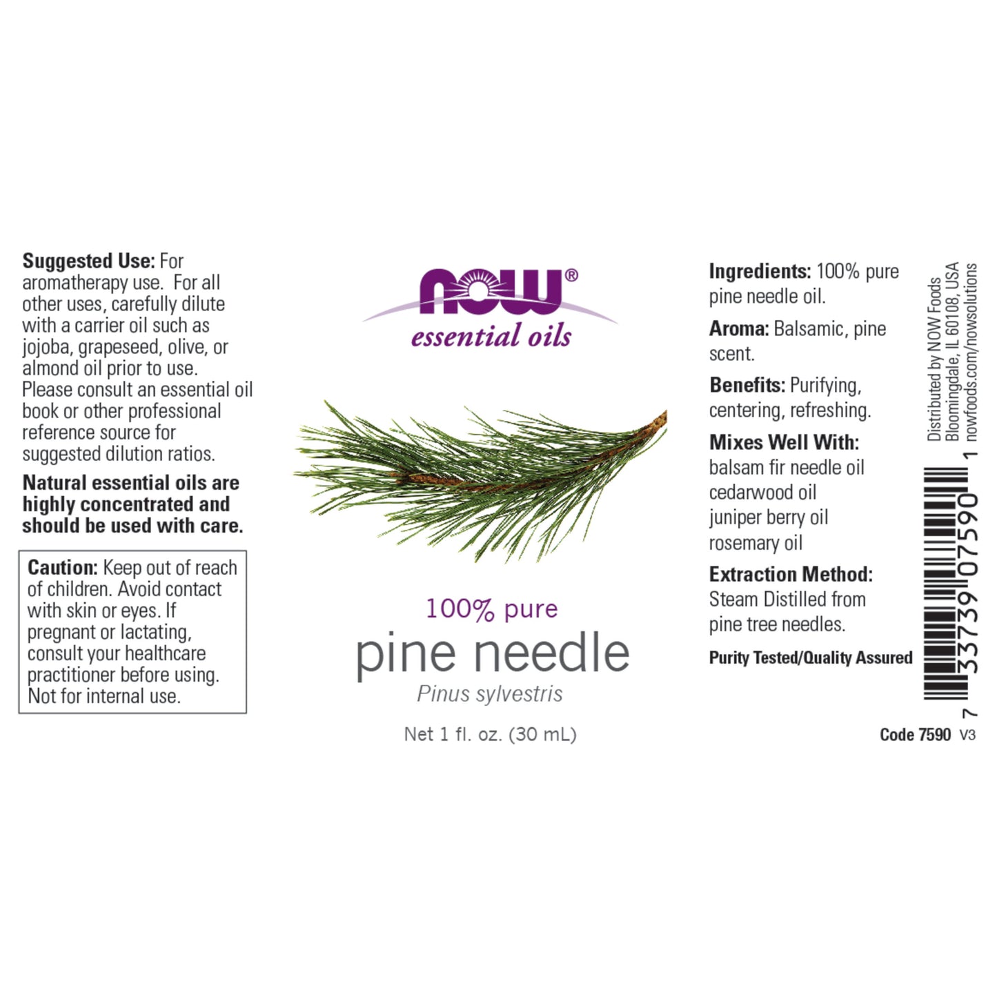 Pine Needle Oil (30 ml)