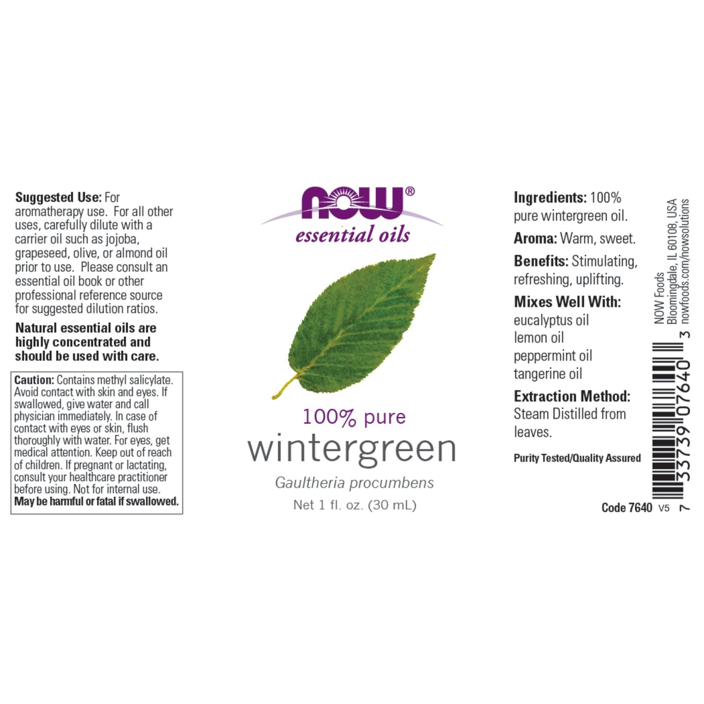 Wintergreen Oil (30 ml)